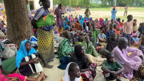 Le Tchad accueille plus de 82000 réfugiés camerounais